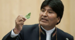 Bolivia aprueba la Ley General de la Coca que amplía las plantaciones de la polémica planta